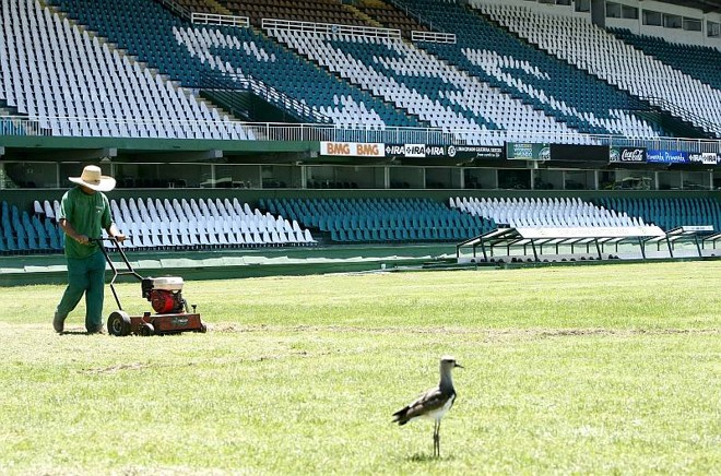 Próximo passo será aproveitar água da chuva para regar o gramado | 