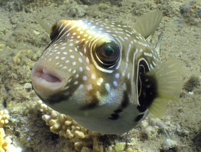 | Gleb Garanich/Reuters