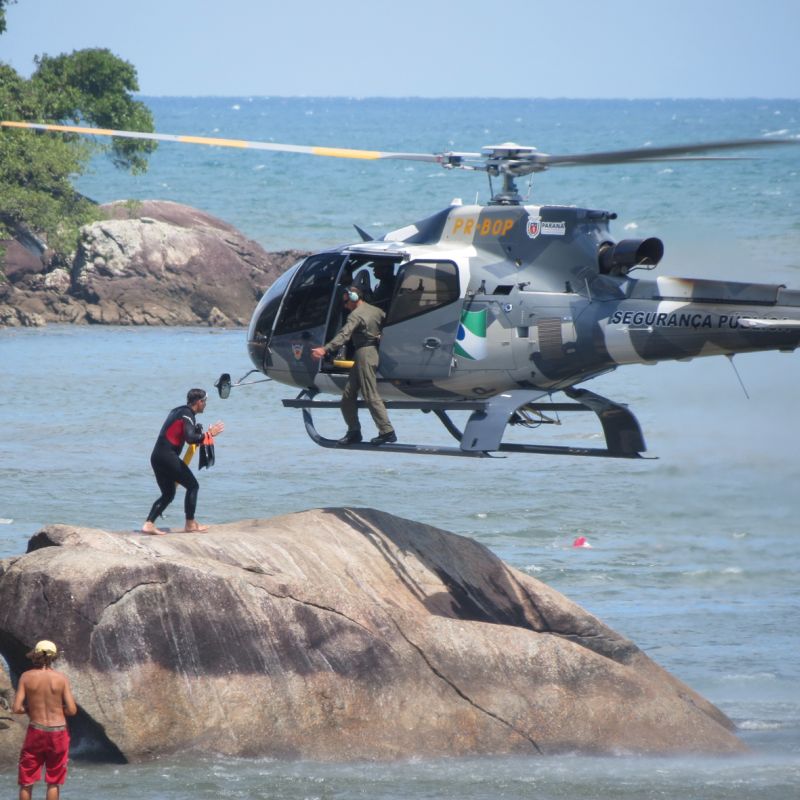 | Colaboração Ana Luiza Varella Jamnik