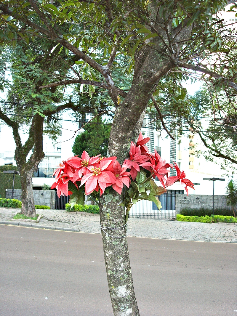| Colaboração Alvaro Antunes