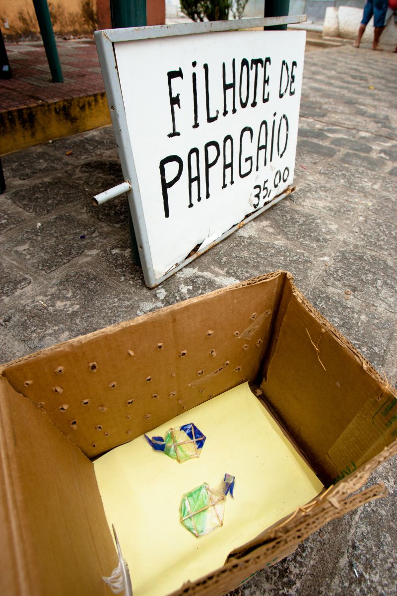 | Henry Milleo/Gazeta do Povo