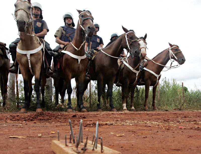 Policiais protegem área na região de Itakiry, a 80 quilômetros de Foz do Iguaçu, que foi invadida por campesinos paraguaios. Eles colocam armadilhas nas estradas para ferir os cascos dos cavalos e furar os pneus de automóveis | Christian Rizzi/Gazeta do Povo