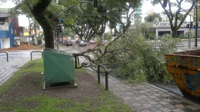 Várias árvores caíram por causa do vento forte em Curitiba |