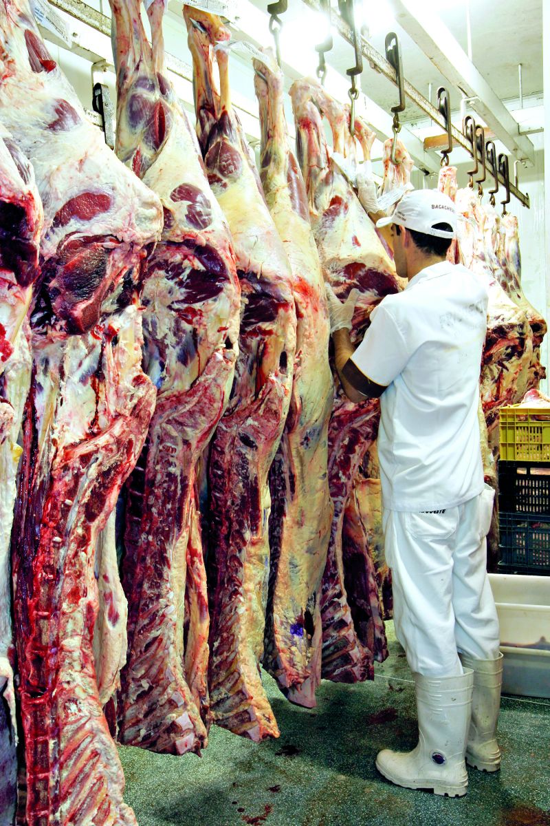 Carnes nobres subiram de preço; cortes de menor valor ficaram mais baratos | Antônio More/ Gazeta do Povo