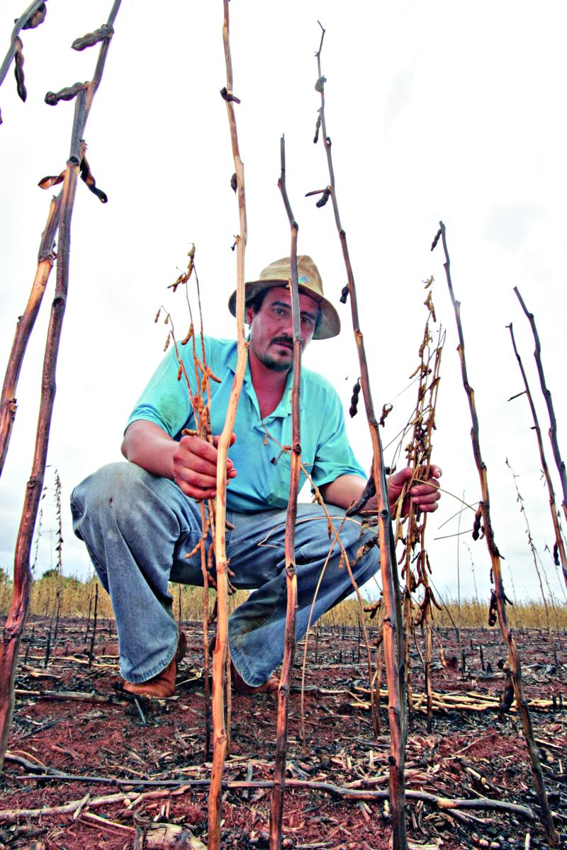 | Cristian Rizzi/Gazeta do Povo