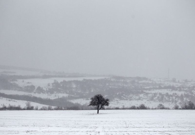 Campo coberto de neve na cidade de Simeonovgrad, sul da Bulgária | REUTERS/Stoyan Nenov