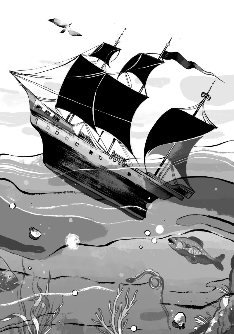 | Felipe Lima / Gazeta do Povo