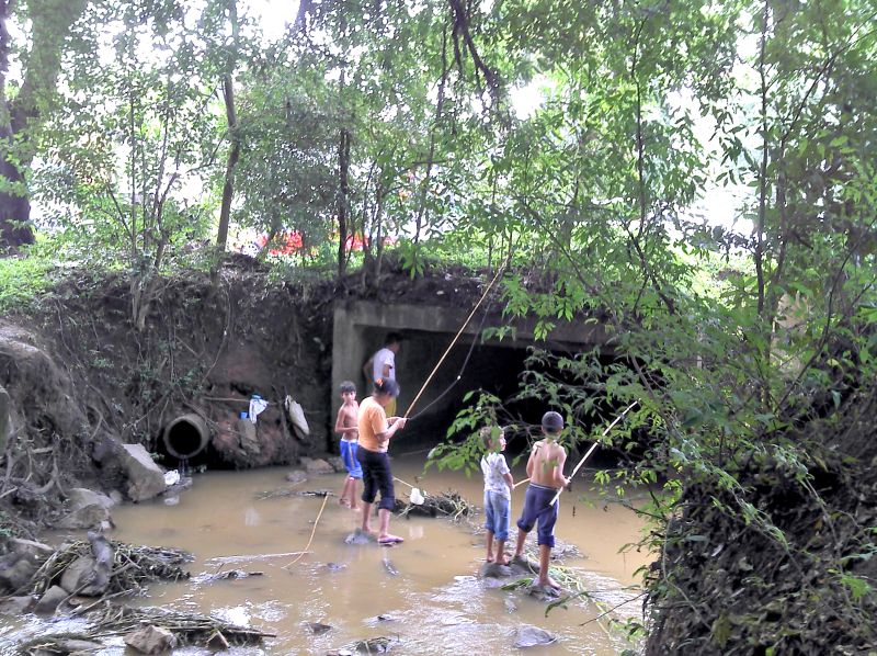 | Daniel Caron/Gazeta do Povo