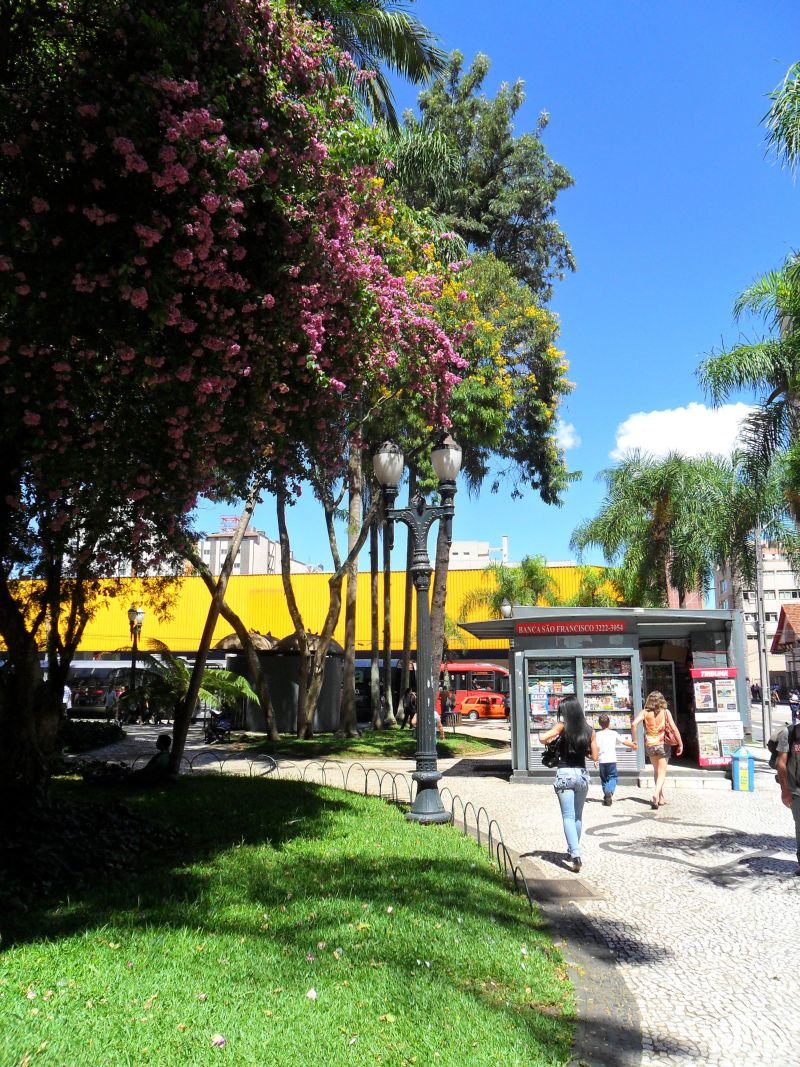 | Cláudio Feldens/Gazeta do Povo