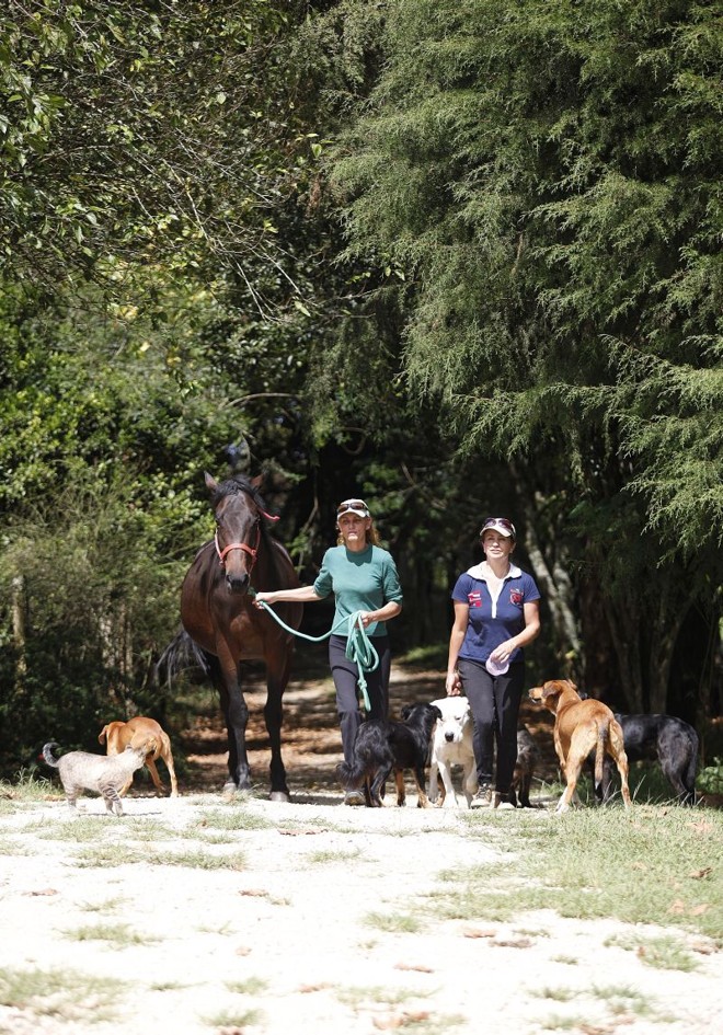 As irmãs Rosana (à esquerda) e Giovana Reboli cuidam de 160 cães, três cavalos e 12 gatos | 