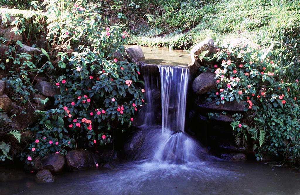 No Bosque Gutierrez, o visitante pode apreciar a beleza de uma fonte de água mineral