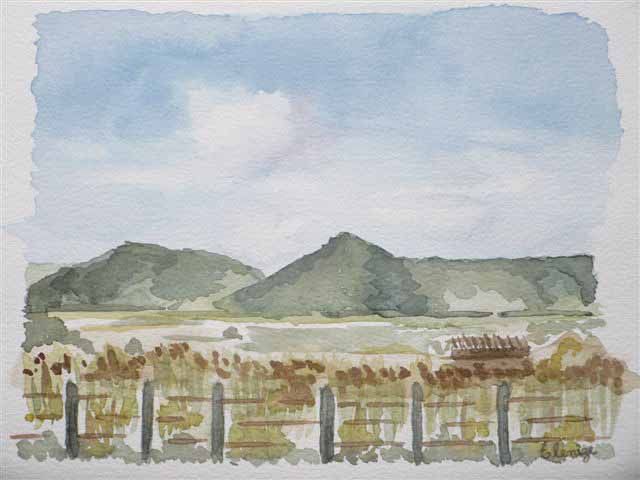 Depois de ficar surpresa com o trabalho de uma aluna, a professora Ana Mueller resolveu reunir aquarelas pintadas em sala de aula | Divulgação