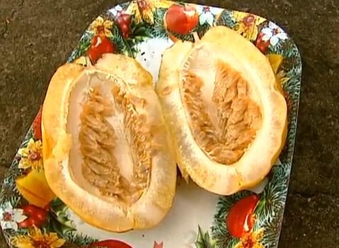 Maracujá gigante chega a pesar 1 quilo | 