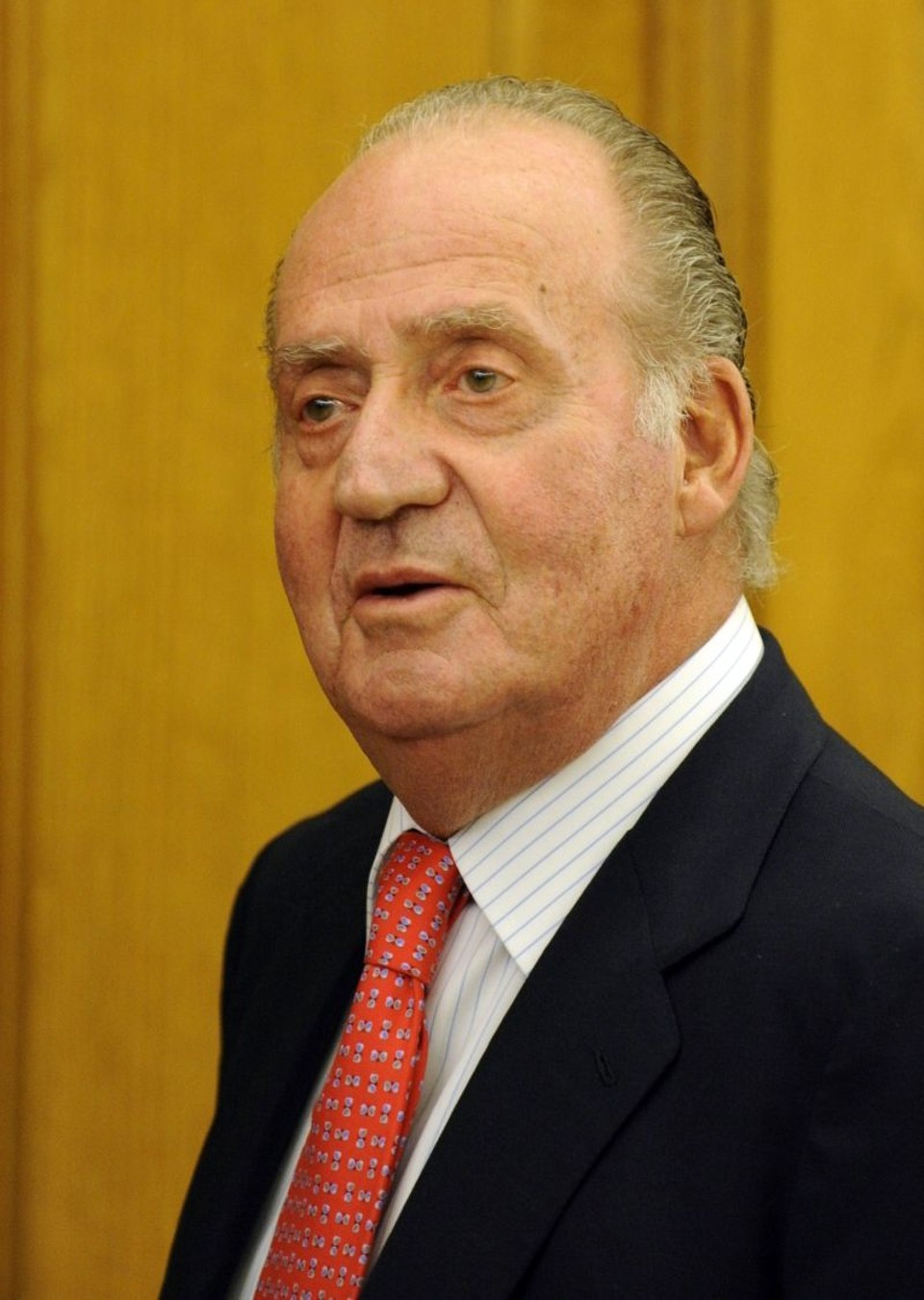 O rei da Espanha, Juan Carlos | Dominique Faget / AFP