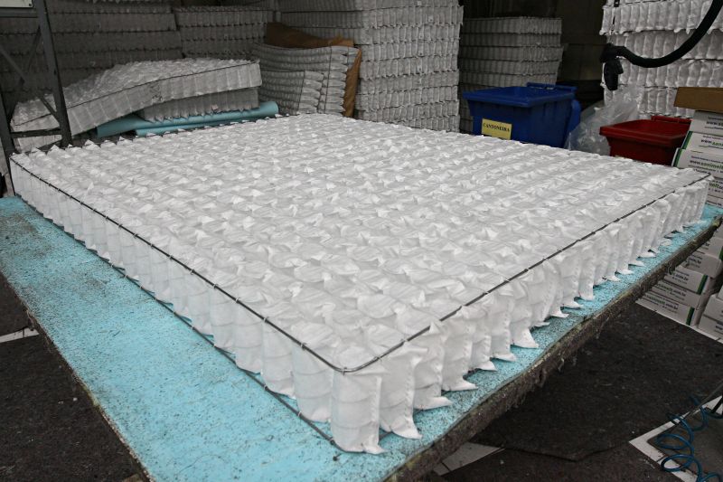 | Felipe Rosa/Gazeta do Povo