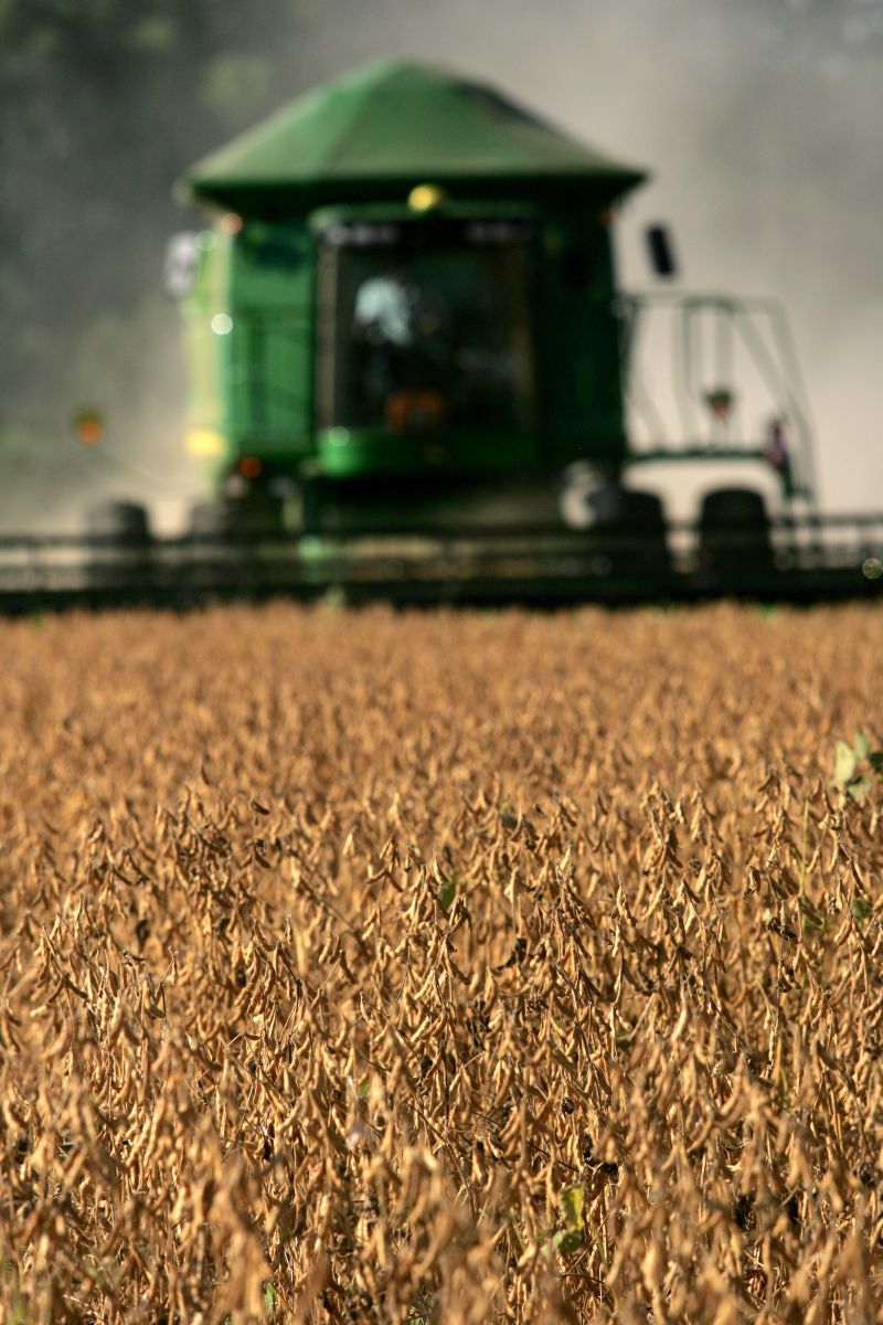 Colheira de soja em Ponta Grossa: 69% da safra vendida | Josué Teixeira/ Gazeta do Povo