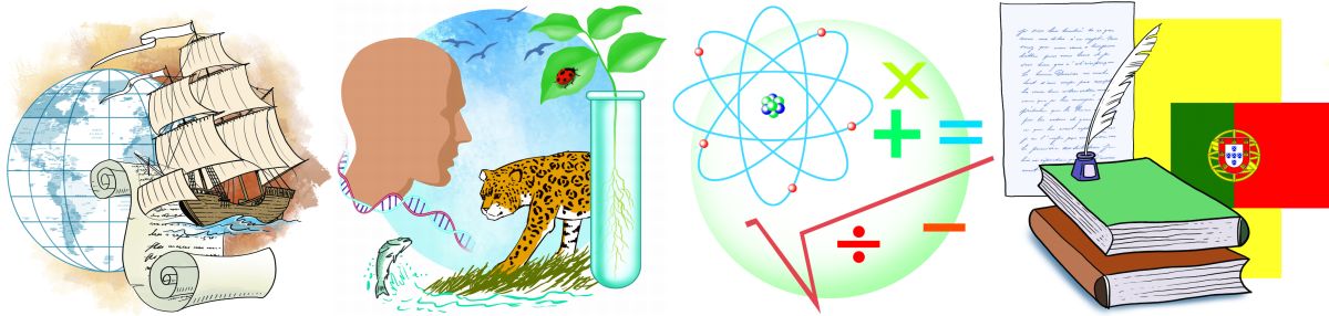 | Gilberto Yamamoto / Ilustrações