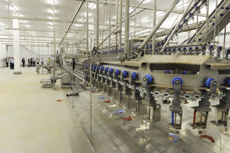 No início das operações, unidade vai abater 60 mil aves por dia | Fabio Dias/ Gazeta Maringá