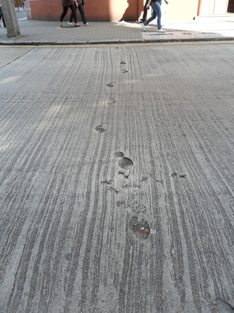 | Cláudio Feldens/Gazeta do Povo