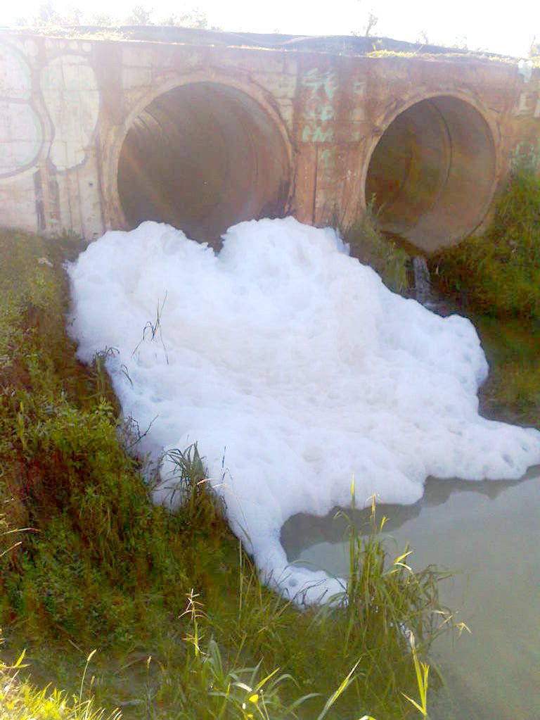 | Colaboração José Espíndola