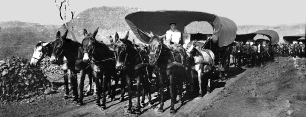 Carroções coloniais na Serra da Esperança, em Guarapuava. Foto de 22 de outubro de 1937 | Arquivo CD