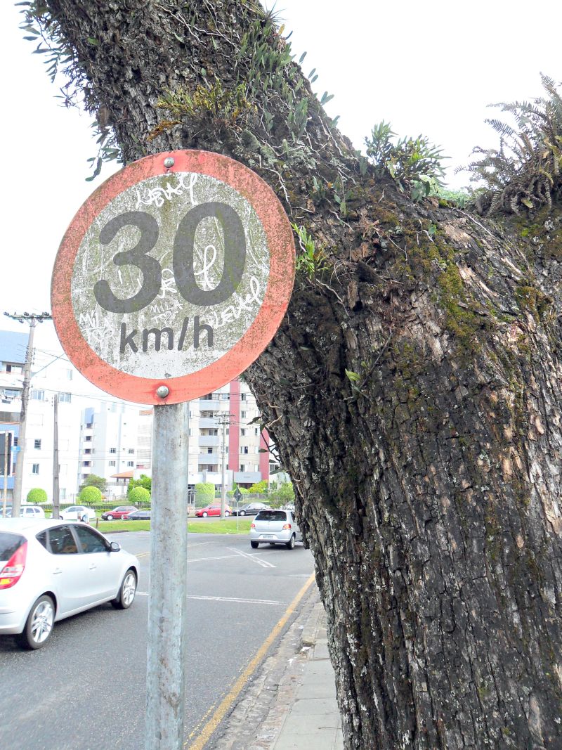 | Colaboração de leitor