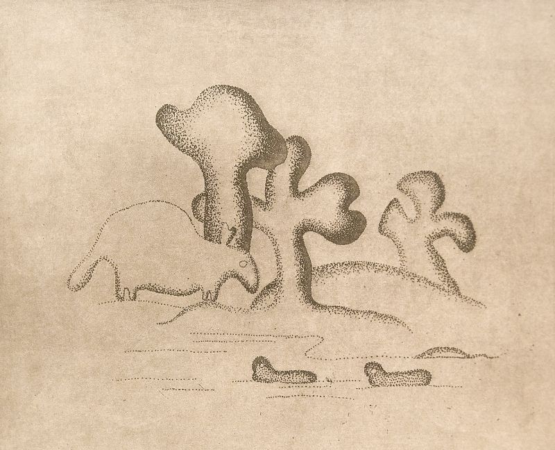 | Shiegueo Murakami / Reprodução