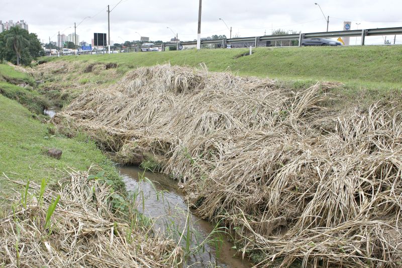 Rio Barigui será drenado, alargado, afundado e serão criadas áreas de preservação nas margens | Ivonaldo Alexandre/Gazeta do Povo