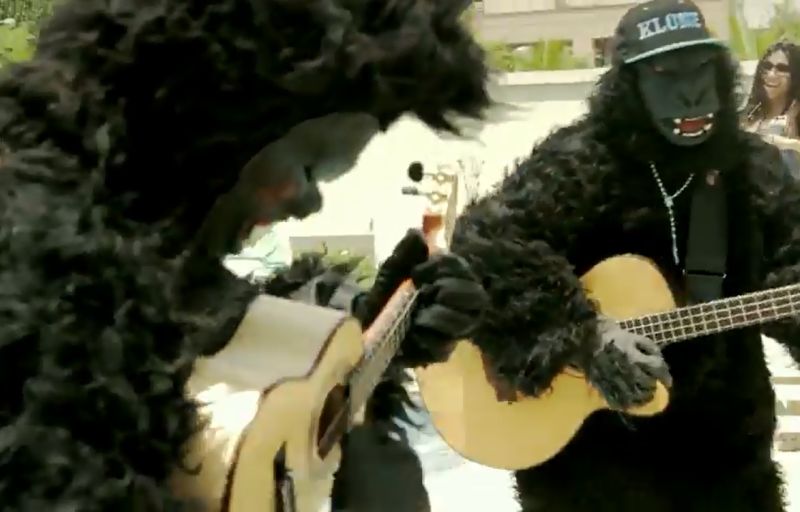 Cena do clipe de Alexandre Pires: para ouvidor, gorilas fazem referência ao preconceito racial | Reprodução