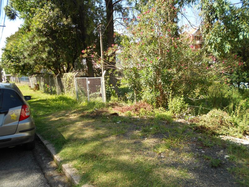 | Colaboração Júlio Zaruch