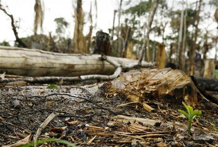 | Bruno Kelly/Reuters