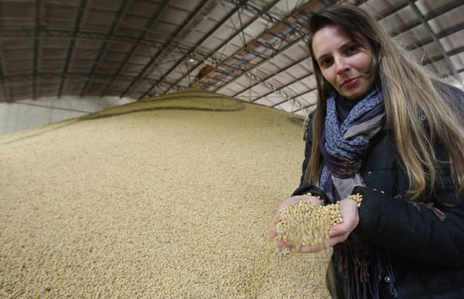 A filha de Mieceslau, Maria Carolina, tem obtido receitas graças ao plantio de soja |
