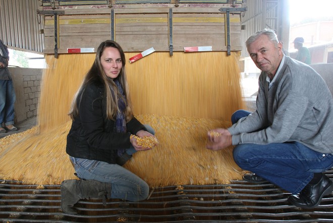 Pai e filha acompanham a chegada de uma carga de milho na cooperativa, em Contenda |