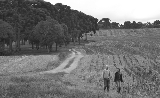 O milho, já colhido na plantação da família, é a segunda maior cultura do estado |