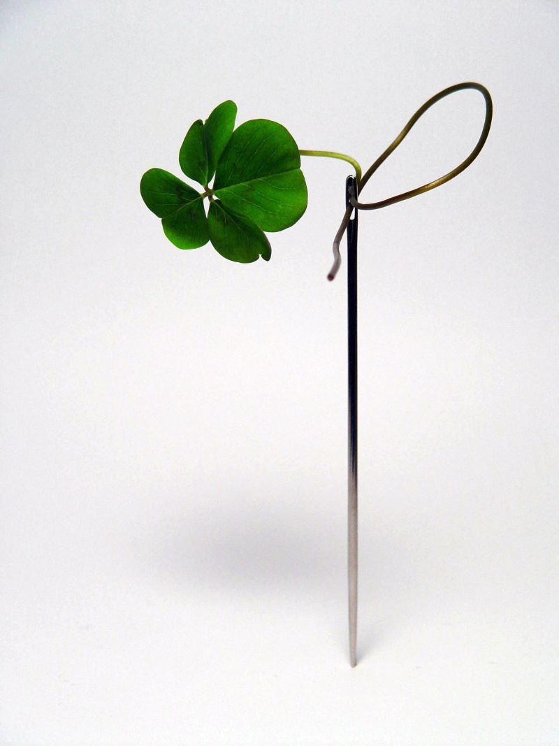 | Antonio Canetta/Divulgação