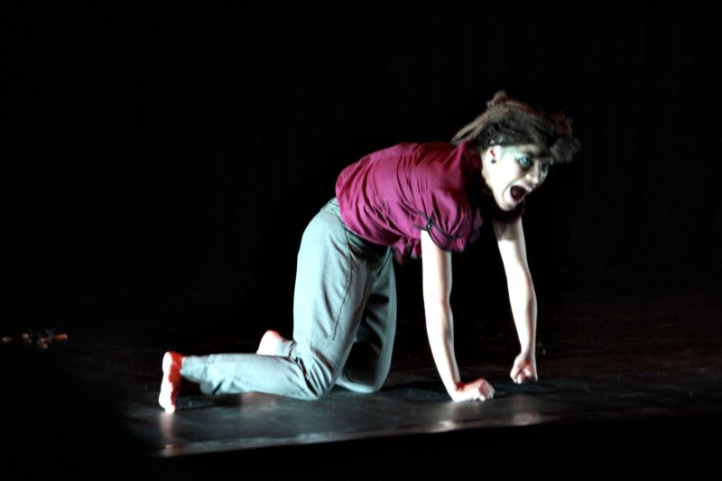 Michelle Moura (PR), em Cavalo: obra acolhe os riscos próprios da criação | Luiz Cequinel/ Divulgação