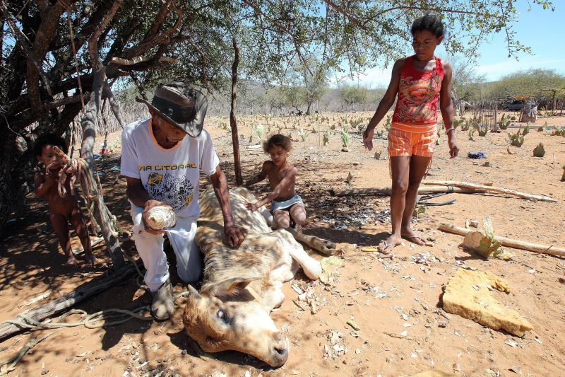 | Hans von Manteuffel/ Agência O Globo
