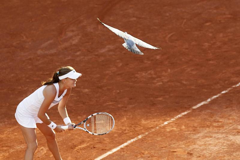 Agnieszka Radwanska teve uma fácil vitória na estreia em Roland Garros | François Lenoir Reuters