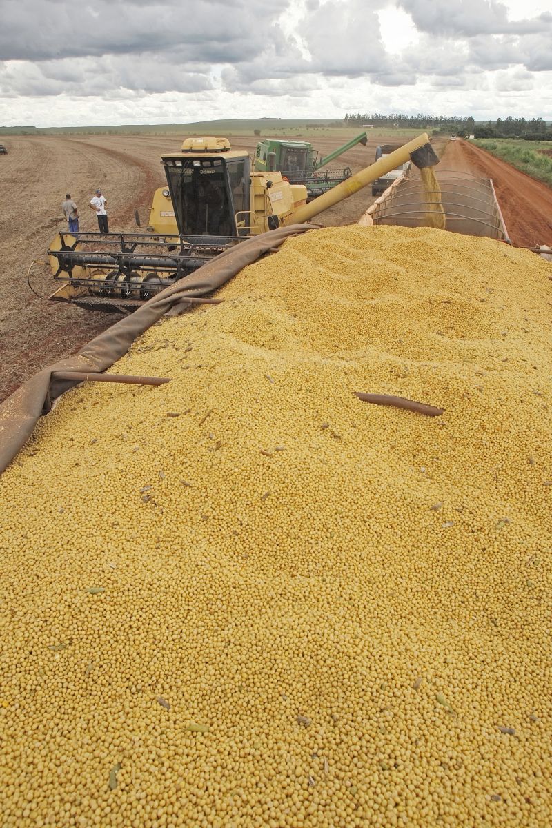 Neste ano, preço da soja cresceu 21% no Brasil | Hugo Harada/ Gazeta dao Povo