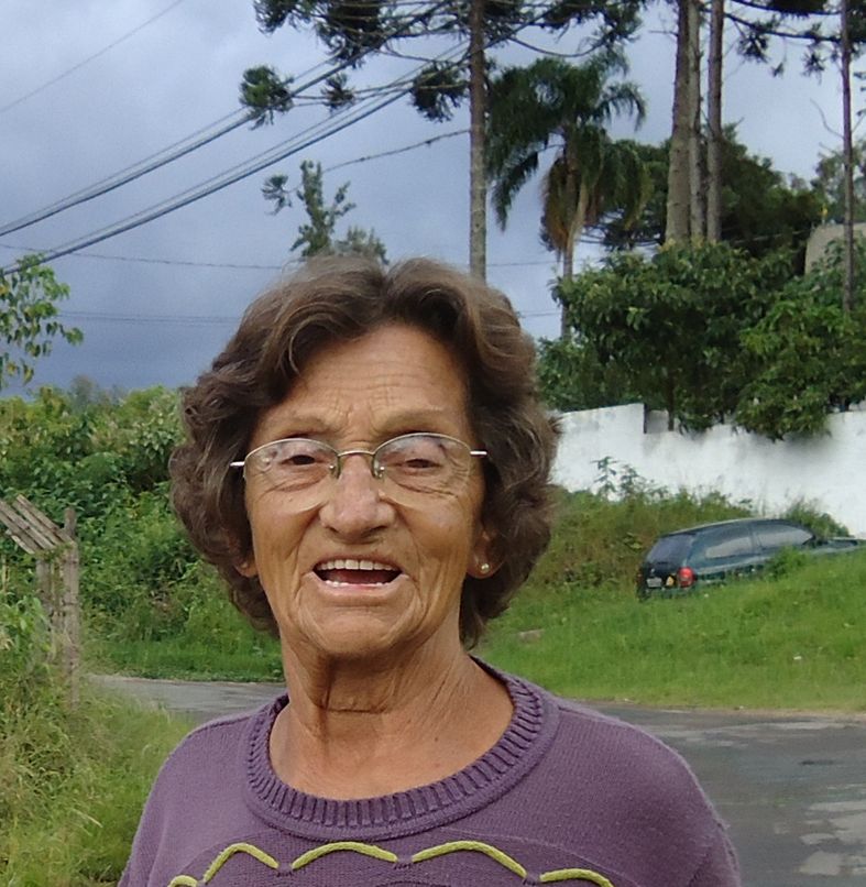 | Arquivo da família