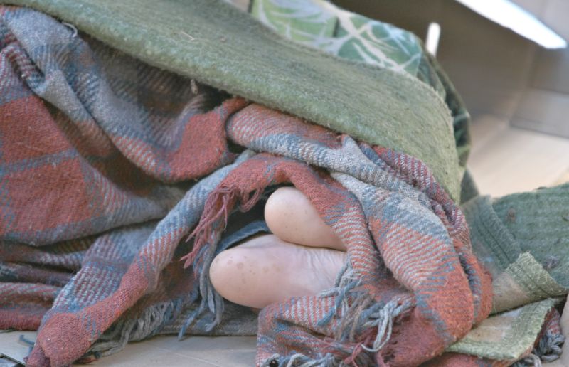 | Aniele Nascimento/Gazeta do Povo