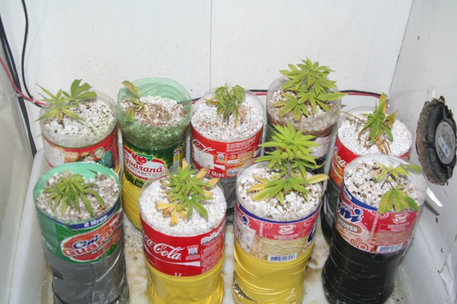 O rapaz, de 25 anos, era investigado pelo Cope há dois meses e responderá por crime de apologia e uso de entorpecente | 