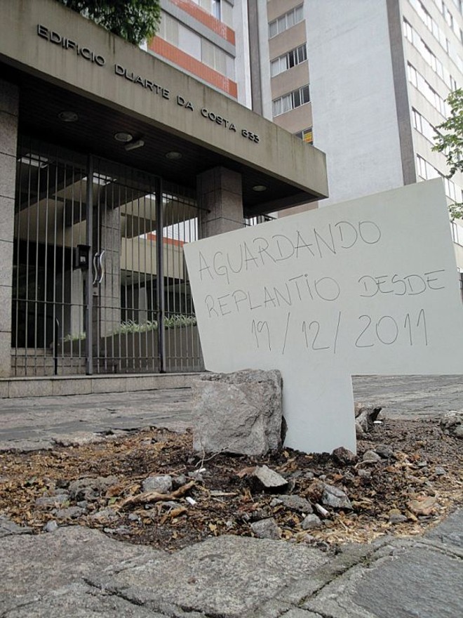 Placa reivindicava replantio no Bigorrilho |
