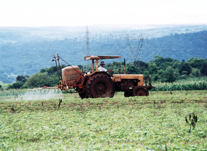 Agricultores que aplicam agrotóxicos ficam molhados com o banho que levam do produto. Falta consciência do perigo e equipamentos adequados de segurança | Arquivo/ Gazeta do Povo