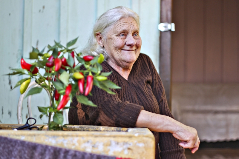 Araci e sua pimenteira plantada na sacada de casa: às voltas com a remontagem da residência | Daniel Castellano/ Gazeta do Povo