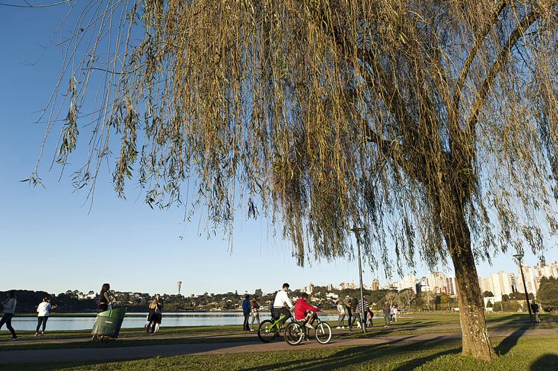 | Marcelo Andrade / Gazeta do Povo