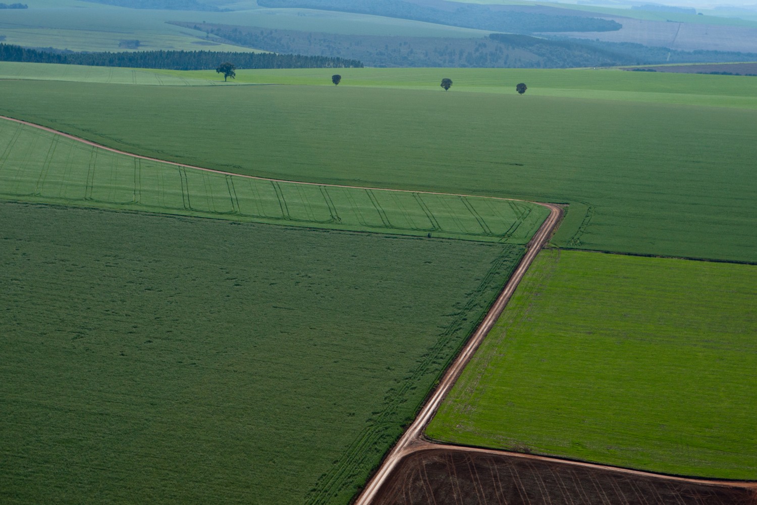 | Henry Milla©o / Gazeta Do Povo