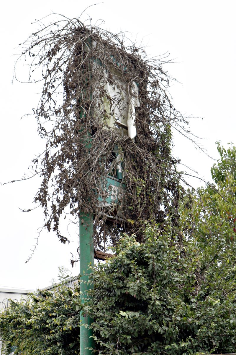 | Henry Milleo/ Gazeta do Povo