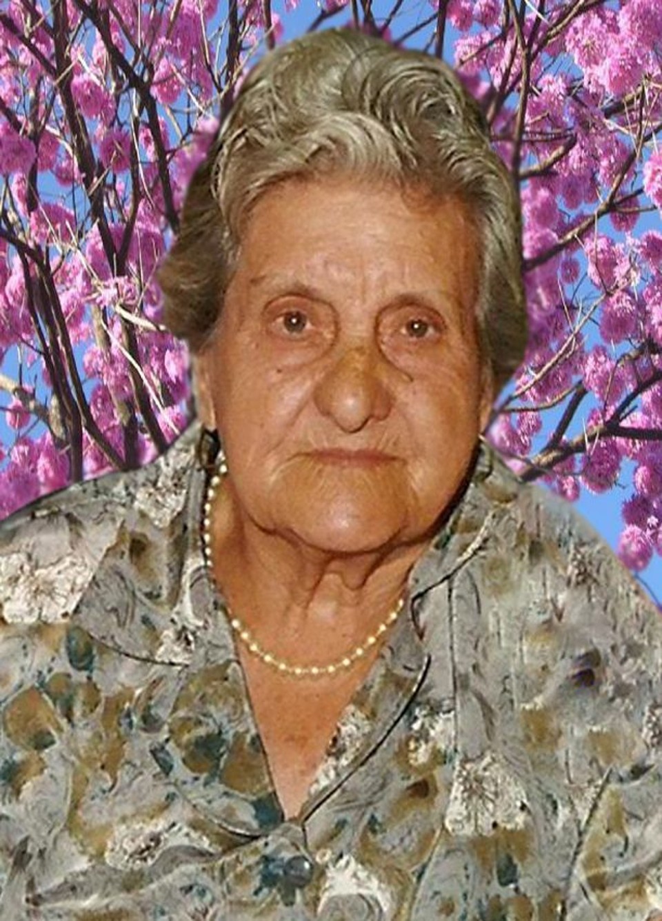  | Arquivo da família