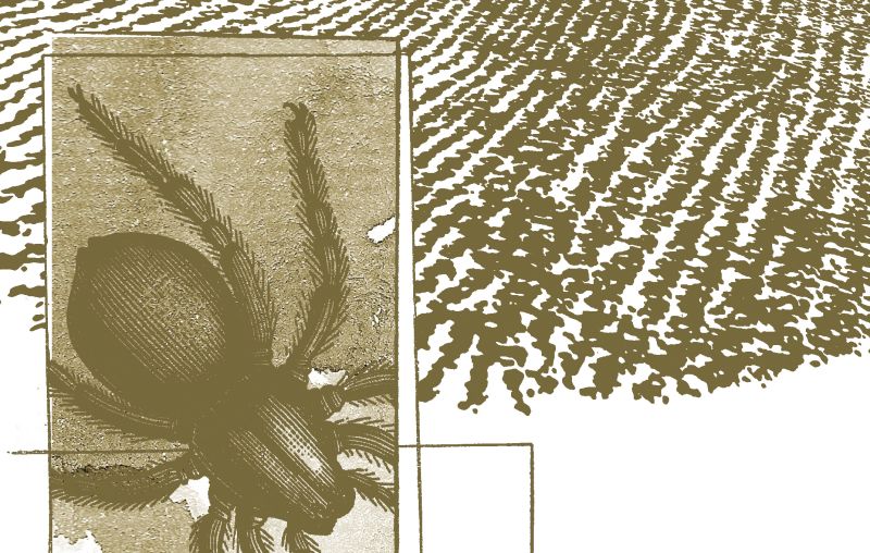 | Ilustração: Osvalter Urbinati Filho